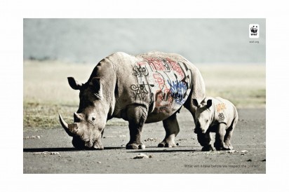 biodiversity-and-biosafety-awareness-rhinoceros-412x274 Любите природу