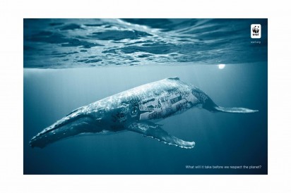 biodiversity-and-biosafety-awareness-whale-412x274 Защита природы
