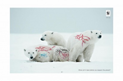 biodiversity-and-biosafety-awareness-white-bear-412x274 Всемирный фонд дикой природы