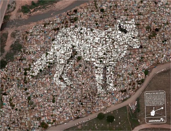 greenpeace_arctic-fox.reklama Спаси полярных животных