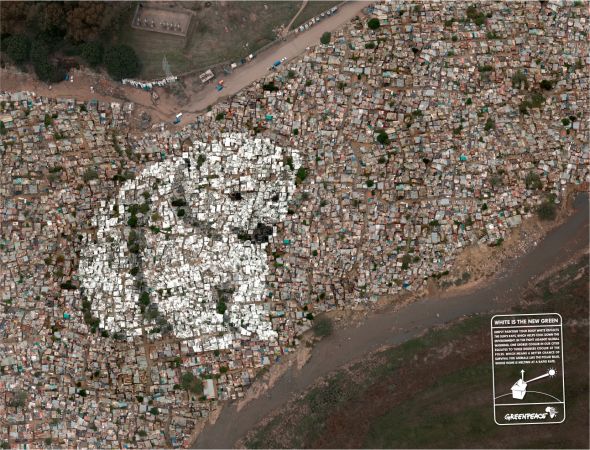 greenpeace_polar-bear.reklama Реклама гринпис