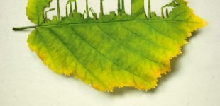 pftp_poster_blatt_factory_small.preview Листья поглощают CO2